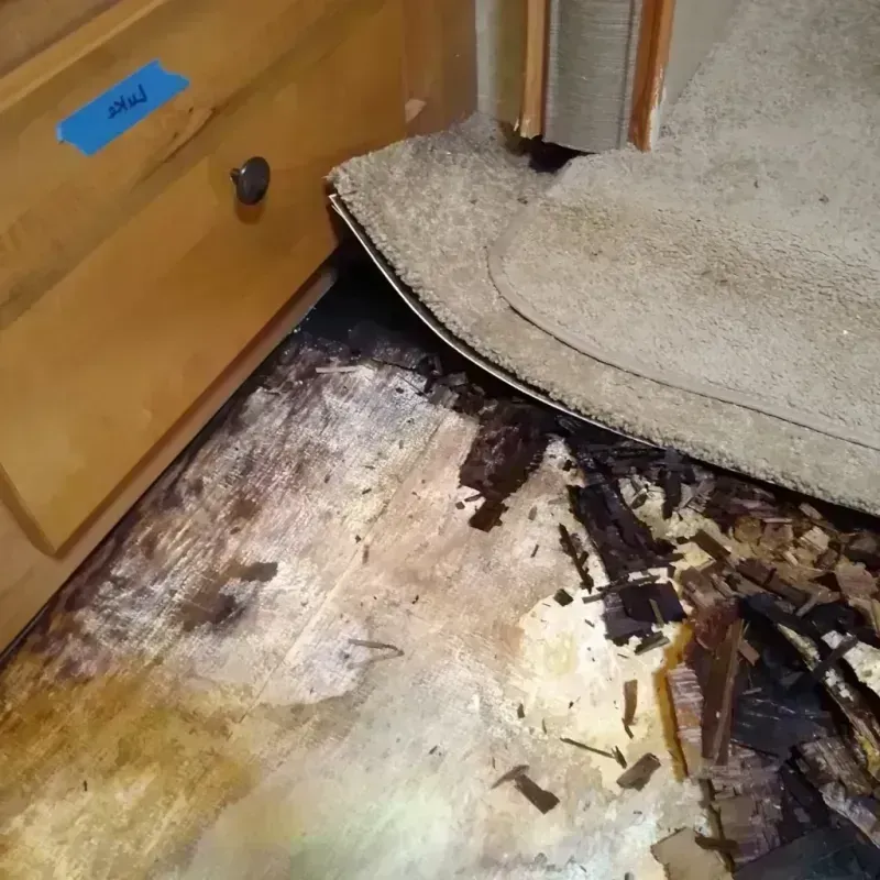 Wood Floor Water Damage in Stafford County, VA